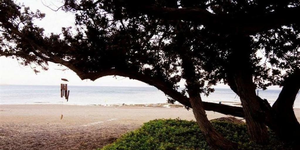 לרדוס Marina Beach House מראה חיצוני תמונה