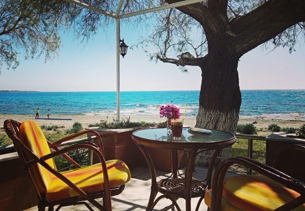 לרדוס Marina Beach House מראה חיצוני תמונה