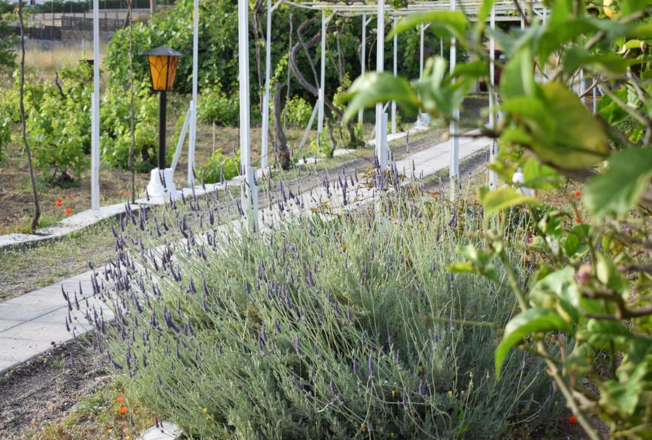 לרדוס Marina Beach House מראה חיצוני תמונה